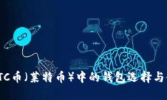 : 了解LTC币（莱特币）中的钱包选择与使用技巧