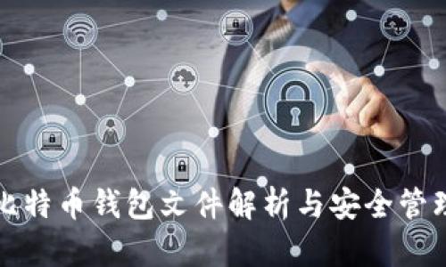比特币钱包文件解析与安全管理