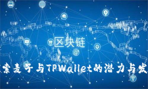 深入探索麦子与TPWallet的潜力与发展趋势