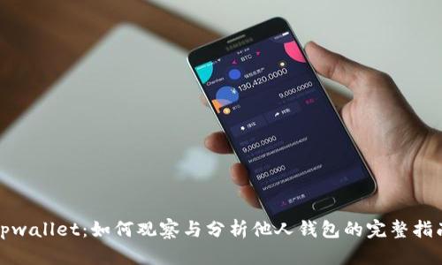 tpwallet：如何观察与分析他人钱包的完整指南