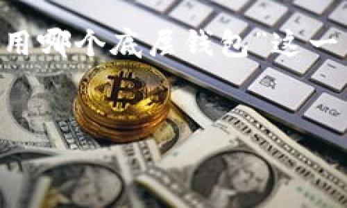 为了准确回答您的问题，并提供详细的内容，我将针对“tpwallet里使用哪个底层钱包”这一主题进行深入讨论。首先，我们来定义一个友好的，并选定相关关键词。


TPWallet使用的底层钱包解析：选择和优势