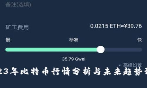 2023年比特币行情分析与未来趋势预测