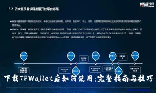 下载TPWallet后如何使用：完整指南与技巧